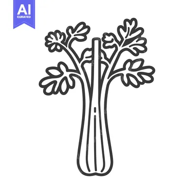 Line Drawing of a Celery Stalk with Leaves