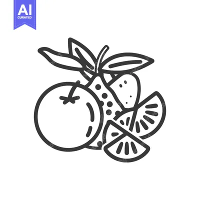 Aset desain premium: Line drawing of a citrus fruit assortment