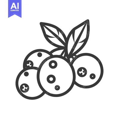 Aset desain premium: Line Drawing of a Cluster of Blueberries with Leaves