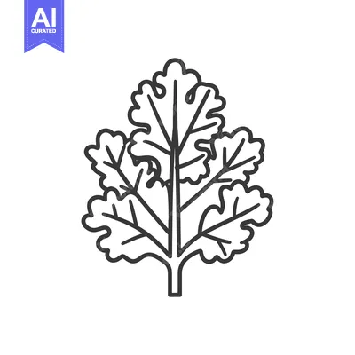 Popular premium asset: Line drawing of a coriander leaf