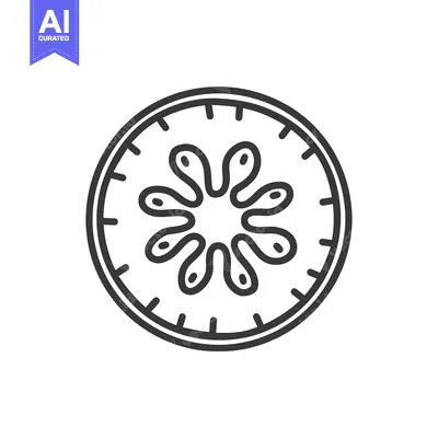 Popular premium asset: Line drawing of a cross section of a kiwifruit