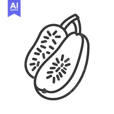 Aset desain premium: Line Drawing of a Cut Kiwi Fruit