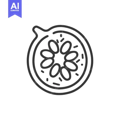 Popular premium asset: Line Drawing of a Cut Kiwi Fruit with Seeds