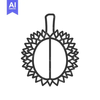 Line Drawing of a Durian Fruit with a Spiky Shell