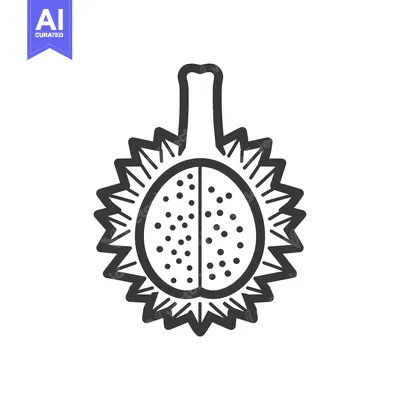 Line Drawing of a Durian Fruit with a Spiky Shell and Seeds