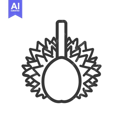 Line drawing of a durian fruit with a stem