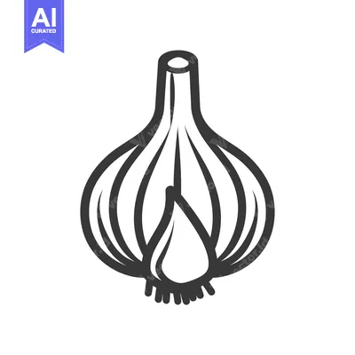 Aset premium populer: Line drawing of a garlic bulb