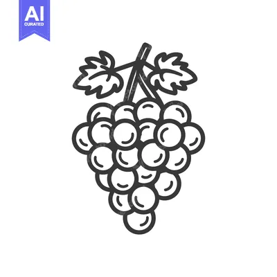Aset premium populer: Line Drawing of a Grape Bunch with Leaves