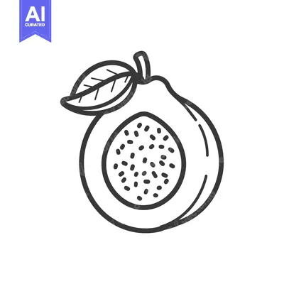 Aset desain premium: Line Drawing of a Guava Fruit with a Leaf