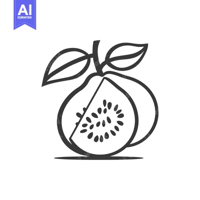 Premium design asset: Line Drawing of a Guava Fruit with Leaves