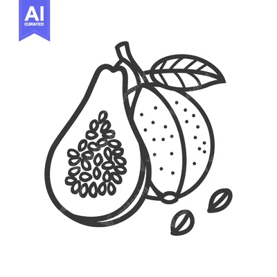 Popular premium asset: Line Drawing of a Guava Fruit with Seeds and Leaf