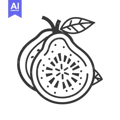 Aset desain premium: Line Drawing of a Guava with a Leaf
