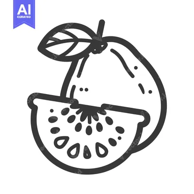 Aset premium populer: Line Drawing of a Guava with a Slice Cut Out