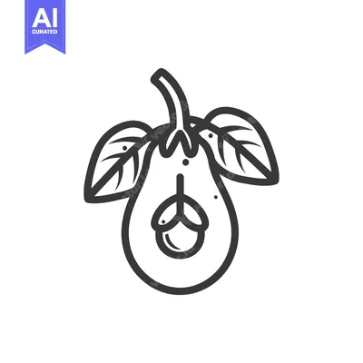 Aset premium populer: Line drawing of a halved avocado with a seed and leaves