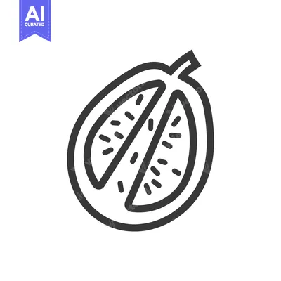 Aset premium populer: Line drawing of a halved cantaloupe melon