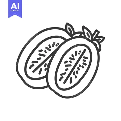 Aset desain premium: Line drawing of a halved kiwi fruit with leaves