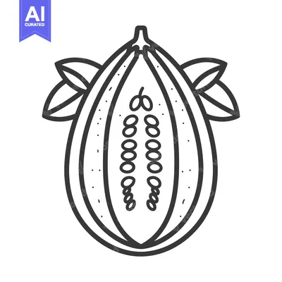 Aset premium populer: Line Drawing of a Halved Melon with Seeds