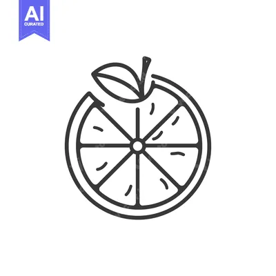 Aset desain premium: Line drawing of a halved orange with a leaf
