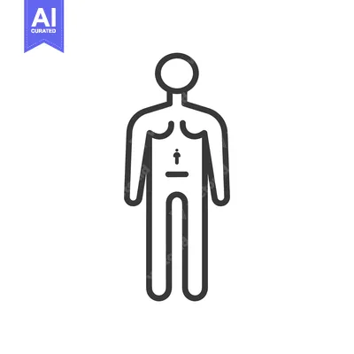 Aset desain premium: Line drawing of a human body with a symbol of a heart in the chest