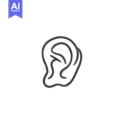 Popular premium asset: Line Drawing of a Human Ear