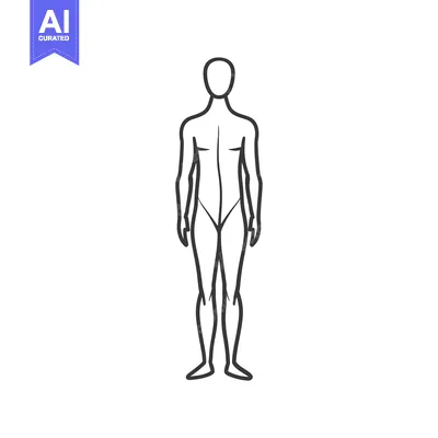 Aset desain premium: Line drawing of a human figure standing upright
