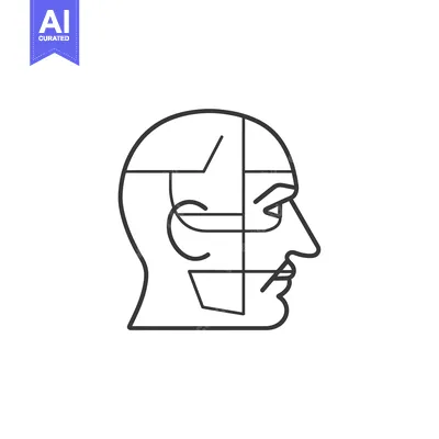 Premium design asset: Line drawing of a human head divided into sections