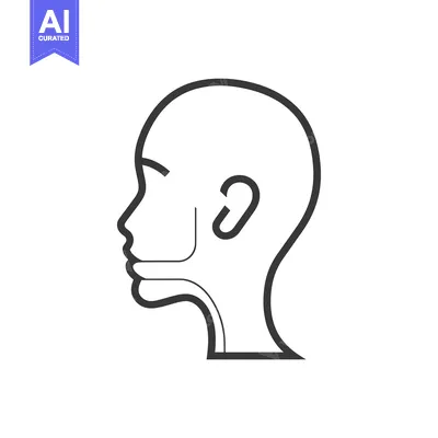 Aset premium populer: Line Drawing of a Human Head in Profile