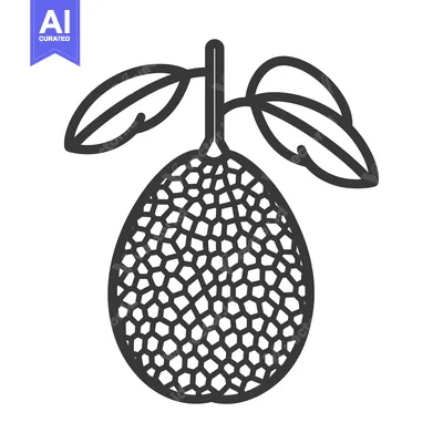 Popular premium asset: Line Drawing of a Jackfruit with Stem and Leaves