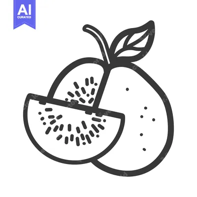 Aset premium populer: Line drawing of a kiwi fruit with a slice