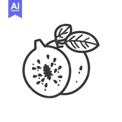 Aset desain premium: Line drawing of a kiwi fruit with leaves