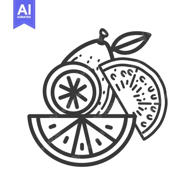Aset premium populer: Line Drawing of a Lemon, a Lime, and a Slice of Lemon