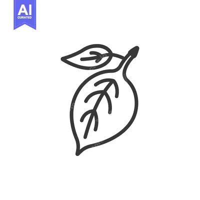 Premium design asset: Line drawing of a lemon with a leaf