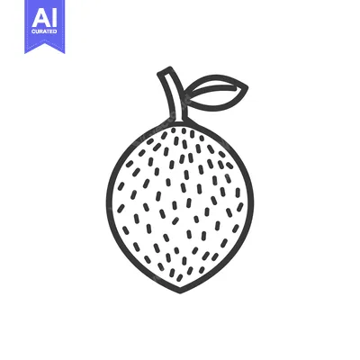 Aset premium populer: Line Drawing of a Lemon with a Leaf