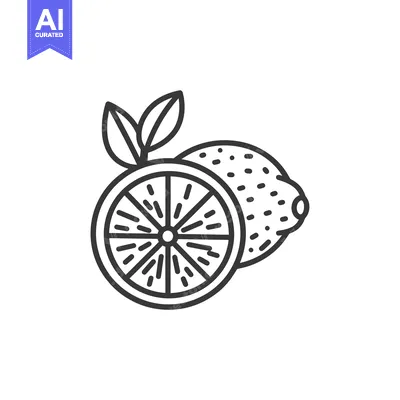 Popular premium asset: Line Drawing of a Lemon with a Slice and Leaves