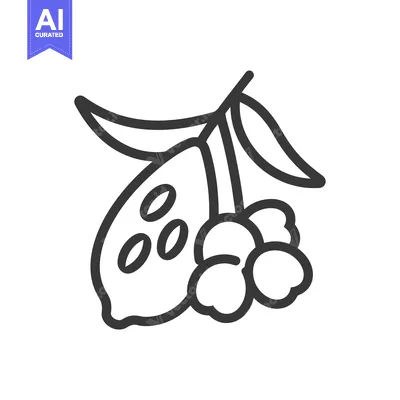 Aset desain premium: Line Drawing of a Lemon with Berries and a Leaf