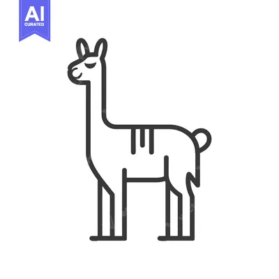 Premium design asset: Line drawing of a llama standing on a white background