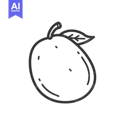 Aset desain premium: Line drawing of a mango fruit with a leaf
