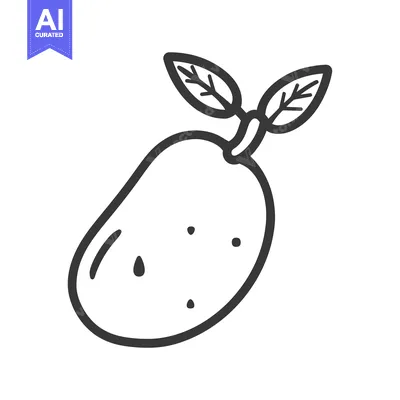Aset premium populer: Line Drawing of a Mango with Two Leaves