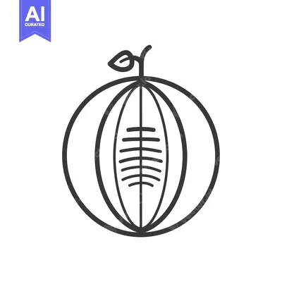 Aset premium populer: Line Drawing of a Melon with a Stem and Leaf