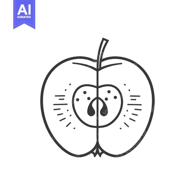 Aset premium populer: Line Drawing of an Apple Cut in Half Showing Seeds