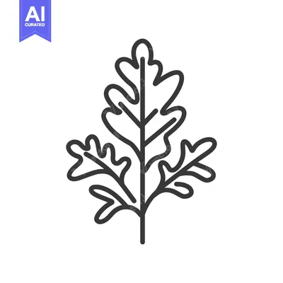 Aset desain premium: Line Drawing of an Oak Leaf with Three Lobes