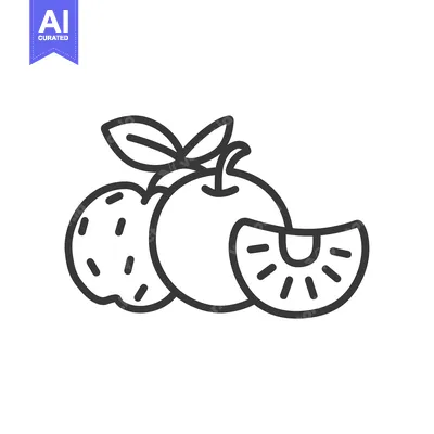 Aset premium populer: Line Drawing of an Orange and a Kiwi Slice with Leaves