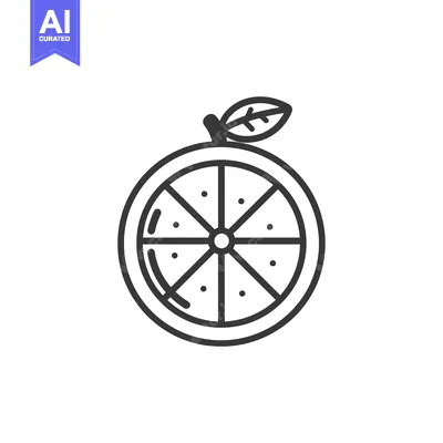 Aset premium populer: Line drawing of an orange slice with a leaf