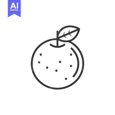 Aset premium populer: Line drawing of an orange with a leaf