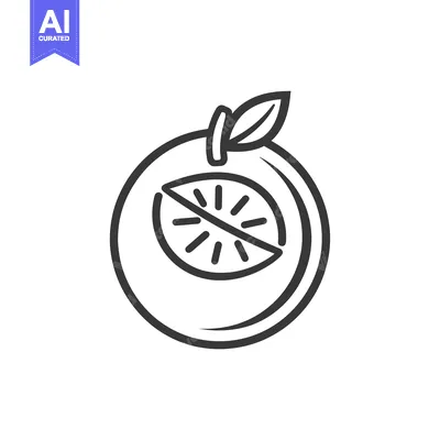 Aset desain premium: Line Drawing of an Orange with a Slice Inside