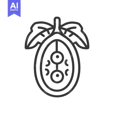 Popular premium asset: Line drawing of a passion fruit with leaves and seeds