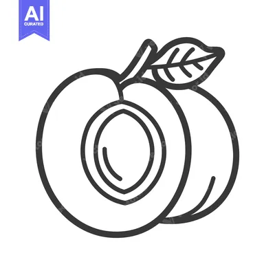 Aset premium populer: Line Drawing of a Peach Cut in Half with a Leaf
