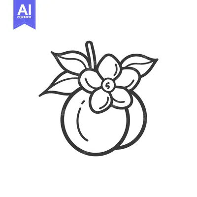 Aset desain premium: Line Drawing of a Peach with a Flower
