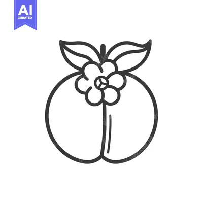 Popular premium asset: Line Drawing of a Peach with a Flower on Top
