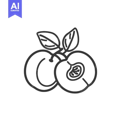 Aset premium populer: Line Drawing of a Peach with a Leaf